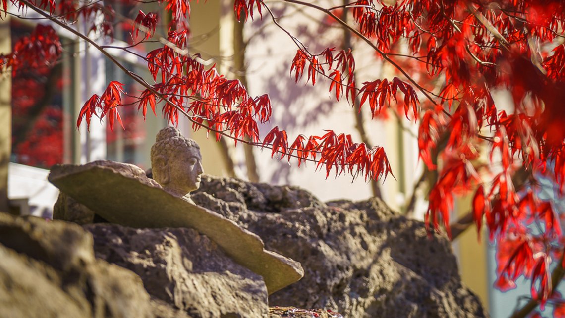 Steine mit roten Blättern im Hintergrund